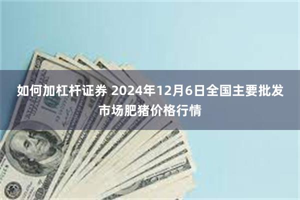 如何加杠杆证券 2024年12月6日全国主要批发市场肥猪价格行情