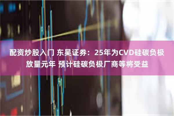 配资炒股入门 东吴证券：25年为CVD硅碳负极放量元年 预计硅碳负极厂商等将受益