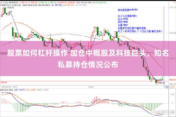 股票如何杠杆操作 加仓中概股及科技巨头，知名私募持仓情况公布