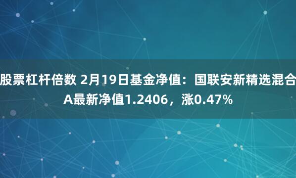 股票杠杆倍数 2月19日基金净值：国联安新精选混合A最新净值1.2406，涨0.47%